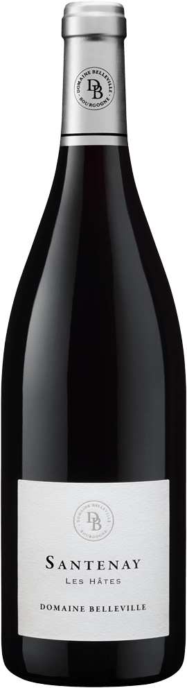 Santenay "Les Hâtes"